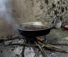 Dut Pekmezi