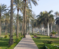 Egypt  - Alexandria - Almontazah 
