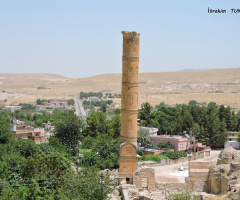 Batman - Hasankeyf - 2018 (7)