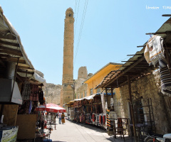 Batman - Hasankeyf - 2018 (8)