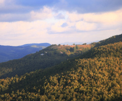 Ordu-Akkuş'tan Bir Köy