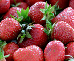 ERDBEEREN