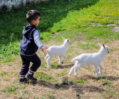 Küçükler