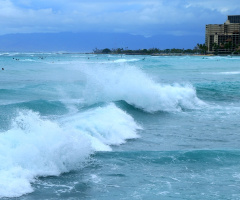 Wave