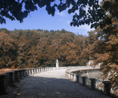 2.Mahmut Bendi 