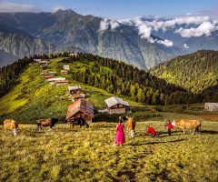 Pokut Sabaha uyanıyor.