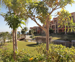 Egypt  -  Alain Alsokhna