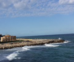 Egypt - Alexandria 
