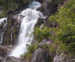 doğadan