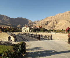 Egypt  -  Alain Alsokhna