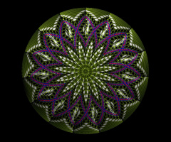 MANDALA