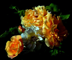 BLÜTEN