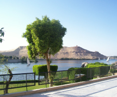 Egypt  - Aswan