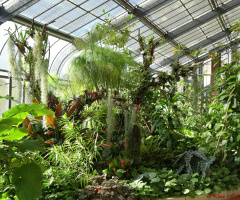 Im Gewächshaus