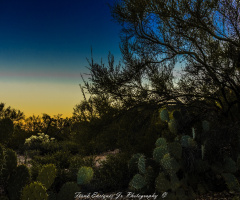 Sonoran Desert Sunset