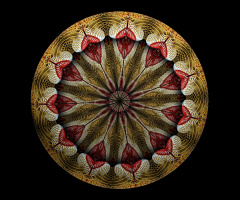 MANDALA