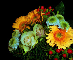 BLÜTEN