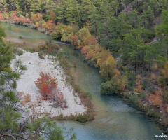 doğadan