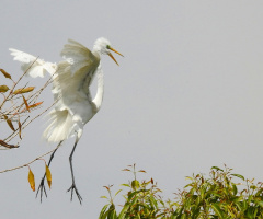Learning to fly...