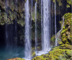 doğadan