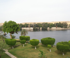 Egypt  - Aswan
