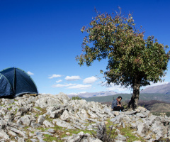Kamp Zamanı