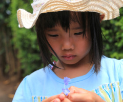 Blue flower…