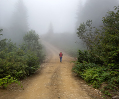 Yayla yollarında.