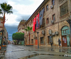 Yağmurda Mersin