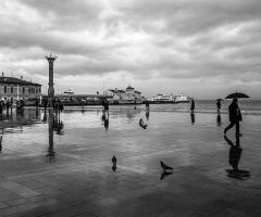 Pasaport. İzmir.