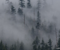 doğadan