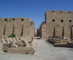 Egypt  - Luxor