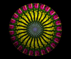 BLUMENMANDALA