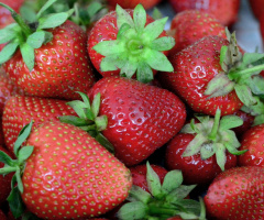 BEEREN