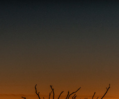 An Arizona Sonoran Desert Sunset