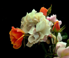 BLÜTEN