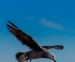 Landing Approach