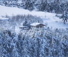 kış