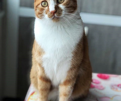 oğlum Minik