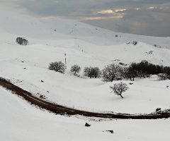 Yol