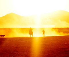 Miniciks hayatlar  Bir Kadın Bir Atlı Bir it