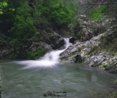 Huzur....