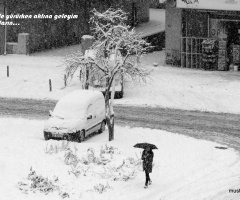 Miniciks Hayatlar RASTGELE ...