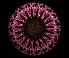 BLUMENMANDALA