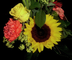 BLÜTEN
