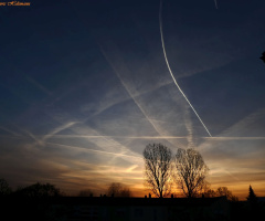 Sonnenaufgang - 2 -