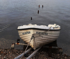 Mare