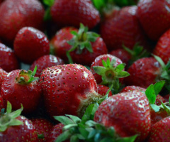 ERDBEEREN