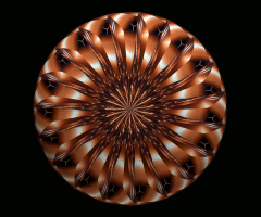 MANDALA