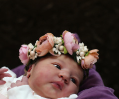 Nil bebek